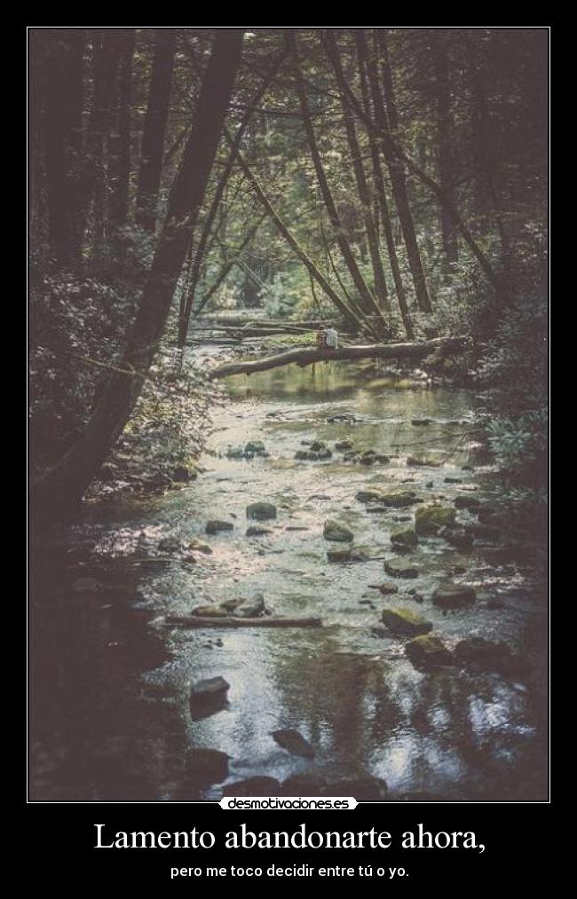 Lamento abandonarte ahora, -