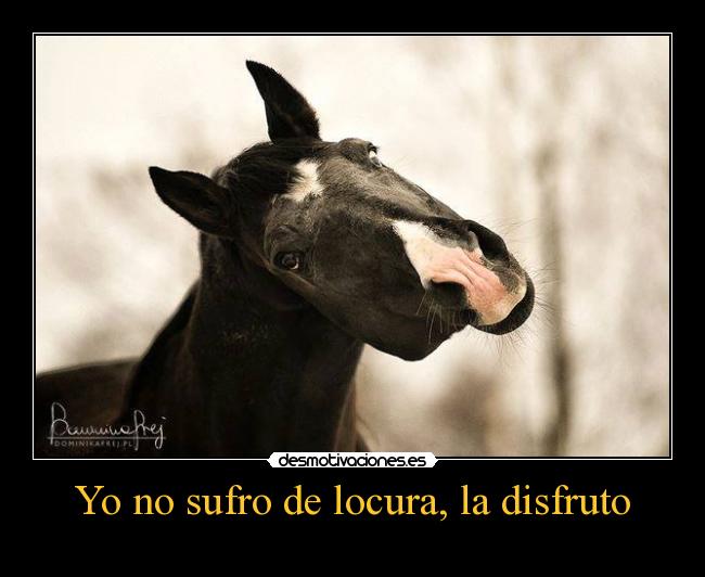 Yo no sufro de locura, la disfruto - 