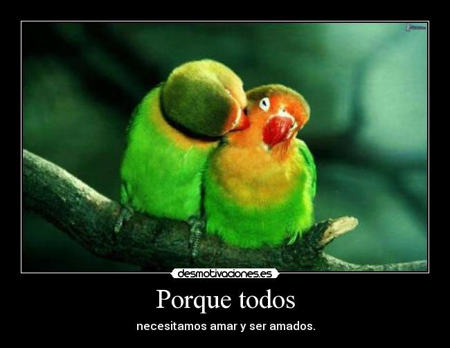 Porque todos - necesitamos amar y ser amados.