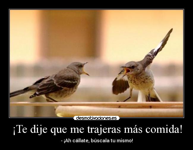¡Te dije que me trajeras más comida! - - ¡Ah cállate, búscala tu mismo!