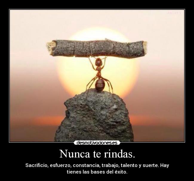 Nunca te rindas. - Sacrificio, esfuerzo, constancia, trabajo, talento y suerte. Hay
tienes las bases del éxito.