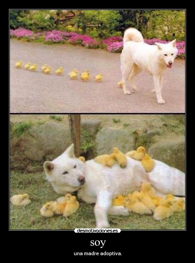 soy - una madre adoptiva.