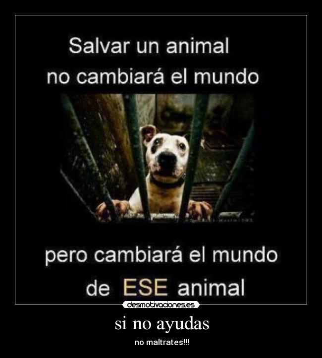 si no ayudas - no maltrates!!!