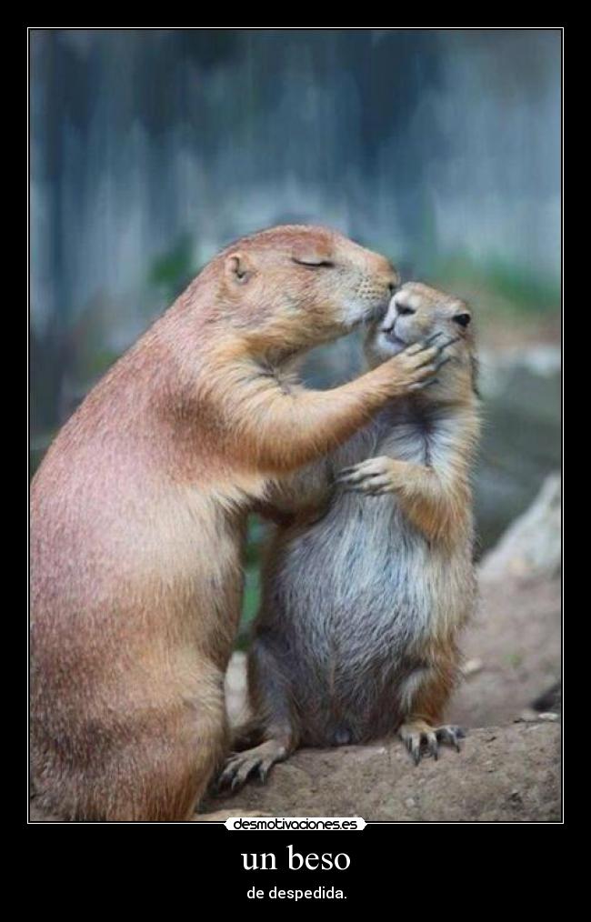 un beso - de despedida.