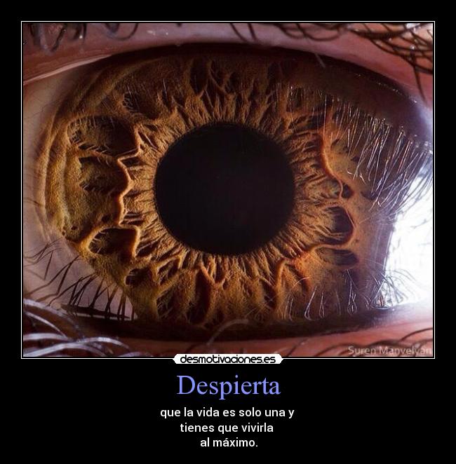 Despierta - que la vida es solo una y 
tienes que vivirla 
al máximo.