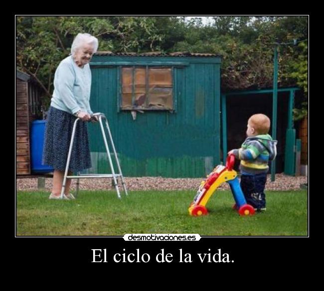 El ciclo de la vida. -