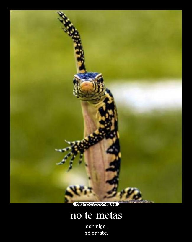 no te metas - conmigo.
sé carate.