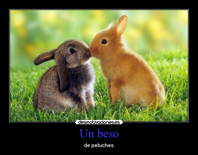 Un beso - de peluches.