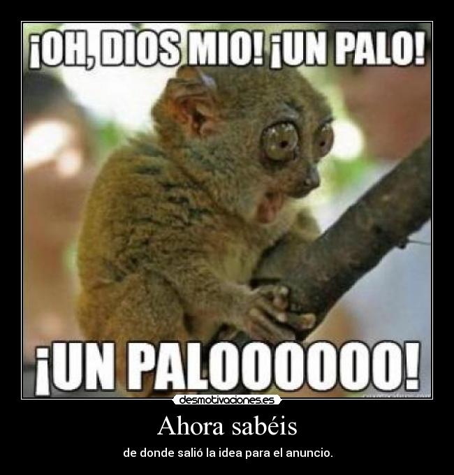 Ahora sabéis - de donde salió la idea para el anuncio.