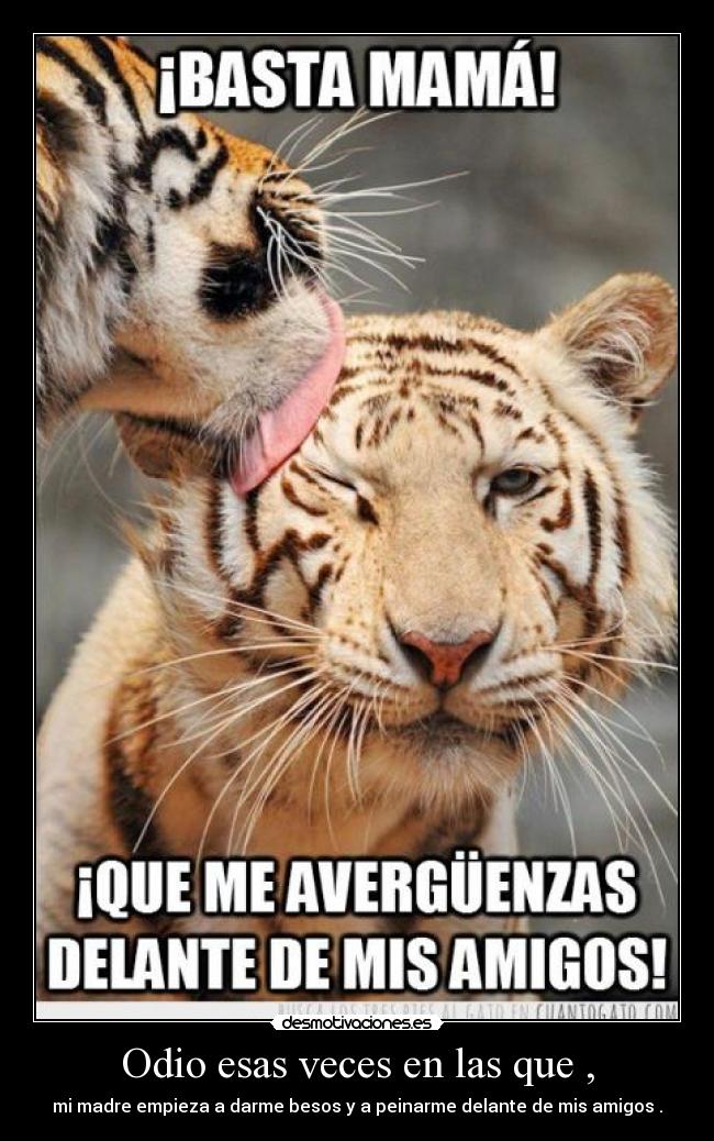 Odio esas veces en las que , - mi madre empieza a darme besos y a peinarme delante de mis amigos .