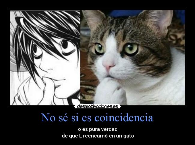 carteles gatosanime devilbrigade death note reencarnado xddd kawaii neko desmotivaciones