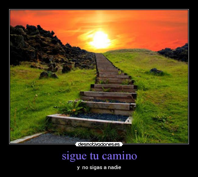 sigue tu camino -
