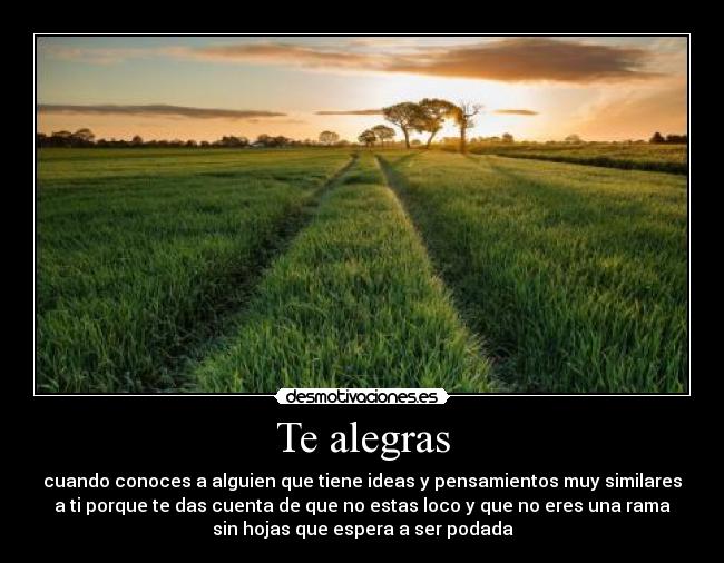 Te alegras - cuando conoces a alguien que tiene ideas y pensamientos muy similares
a ti porque te das cuenta de que no estas loco y que no eres una rama
sin hojas que espera a ser podada