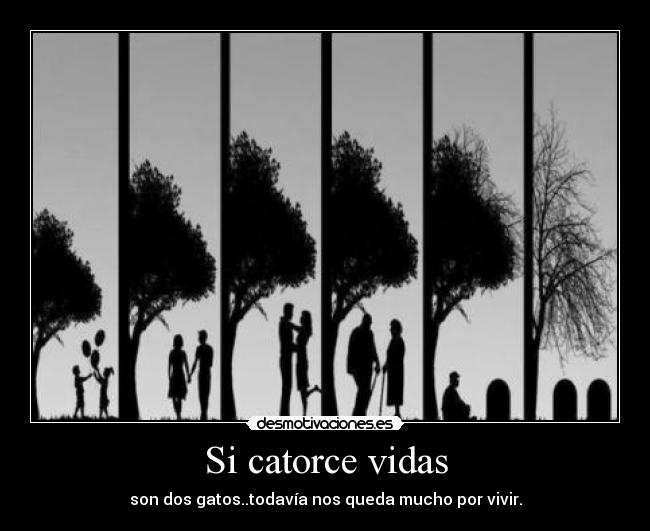 Si catorce vidas -