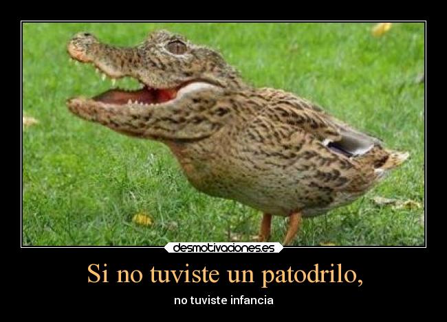 Si no tuviste un patodrilo, - no tuviste infancia