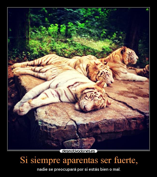 Si siempre aparentas ser fuerte, -