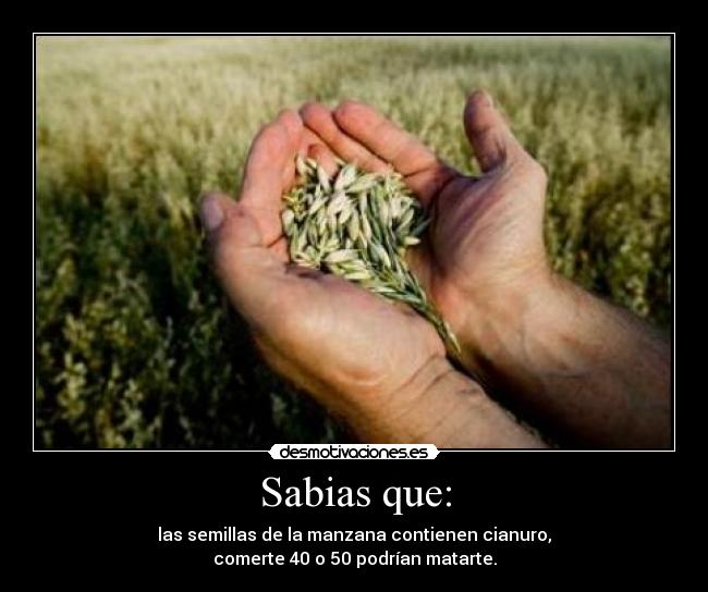 CIANURO EN SEMILLAS DE MANZANA EPUB CIANURO EN SEMILLAS DE MANZANA EPUB