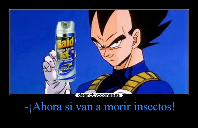 -¡Ahora si van a morir insectos! -