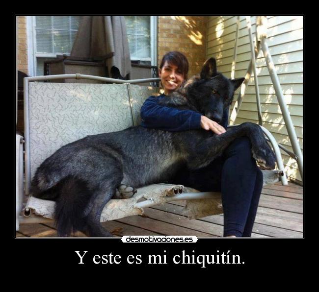 Y este es mi chiquitín. -