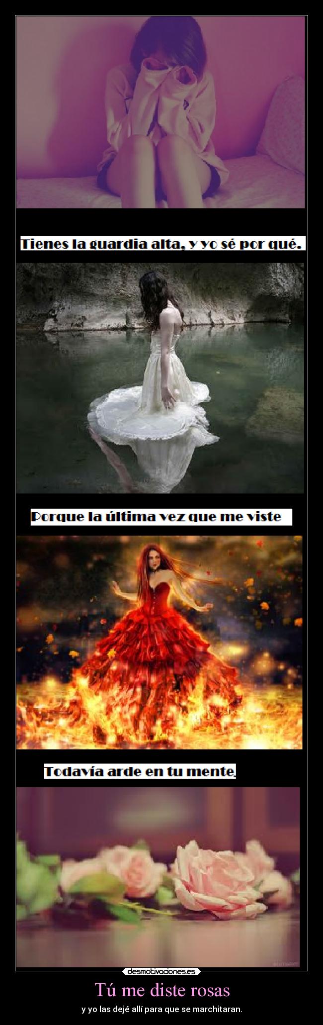 Tú me diste rosas - 