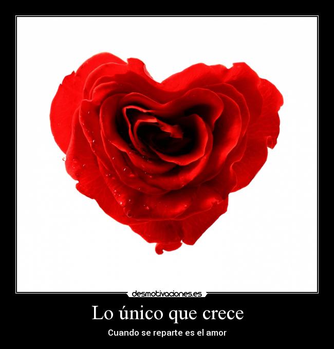 Lo único que crece - Cuando se reparte es el amor