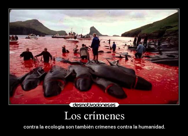 Los crímenes - contra la ecología son también crímenes contra la humanidad.