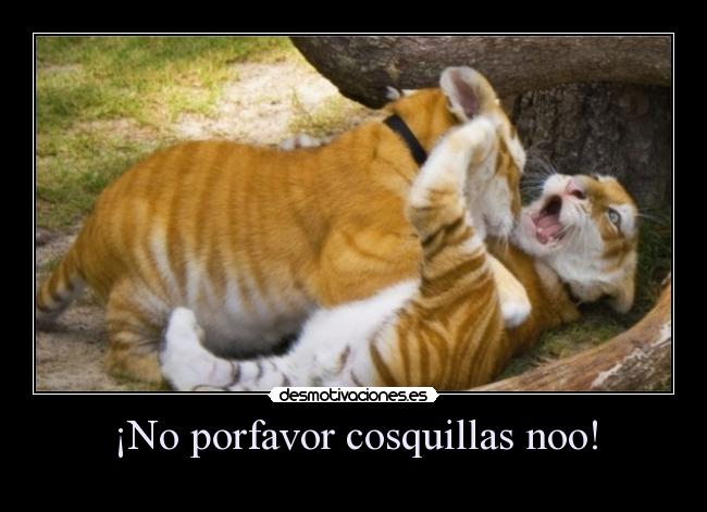 ¡No porfavor cosquillas noo! -