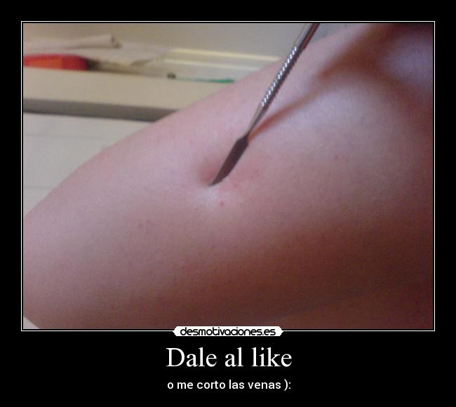 Dale al like -