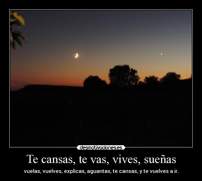 Te cansas, te vas, vives, sueñas -