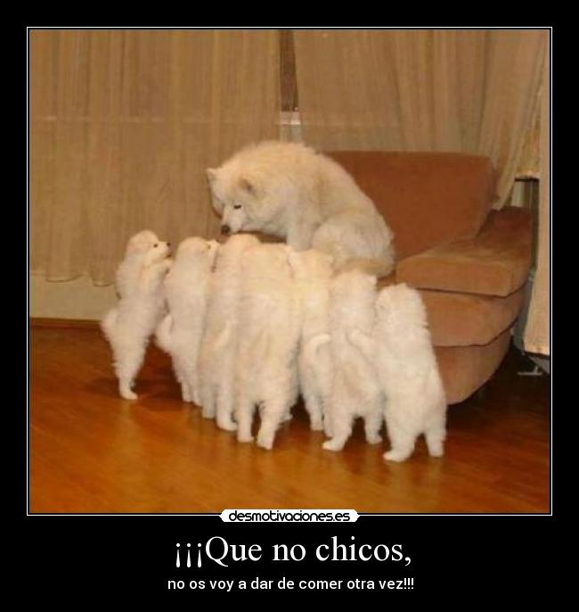 carteles breathe breathe breathe breathe breathe breathe breathe breathe breathe breathe atojsoacillobsknaht desmotivaciones