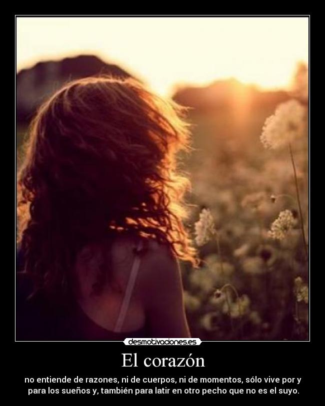 El corazón - 