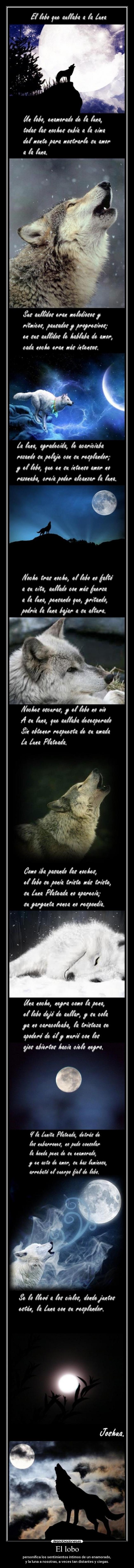 carteles lobo clanloup lobos desmotivaciones
