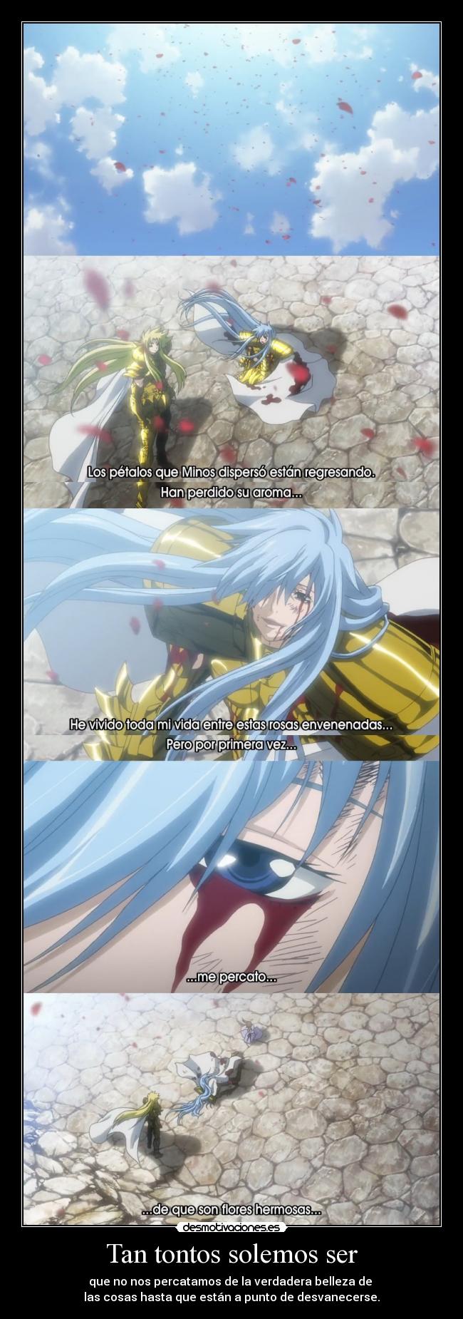 Tan tontos solemos ser -