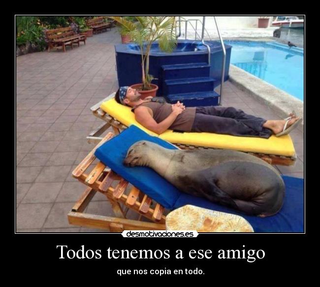 Todos tenemos a ese amigo -