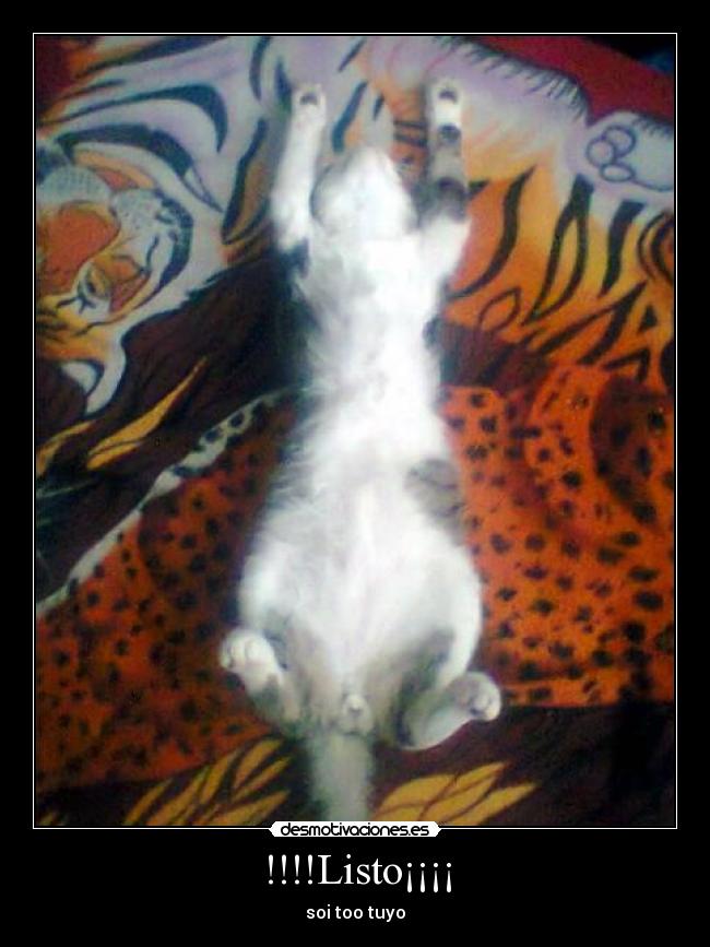 !!!!Listo¡¡¡¡ - soi too tuyo