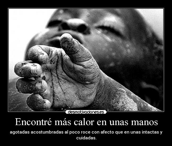 Encontré más calor en unas manos - agotadas acostumbradas al poco roce con afecto que en unas intactas y
cuidadas.
