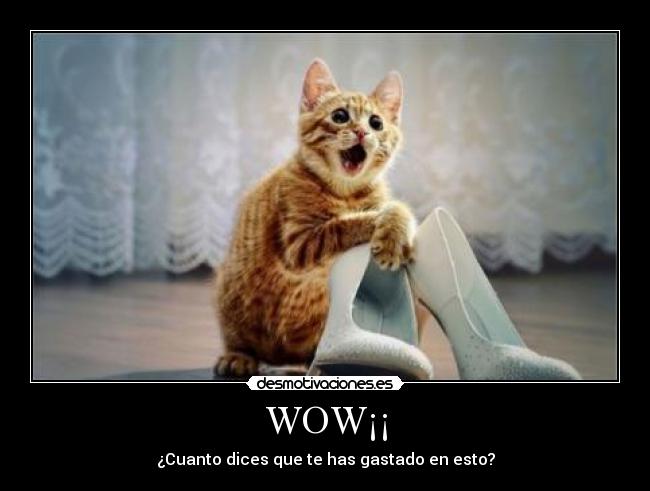 WOW¡¡ - 