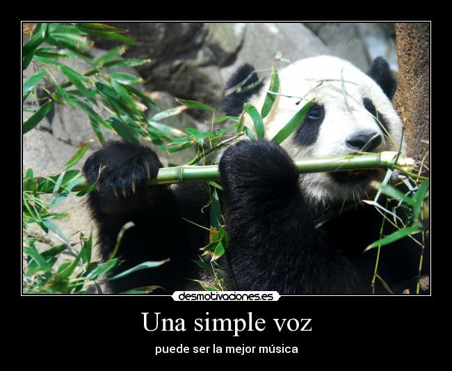 Una simple voz - 