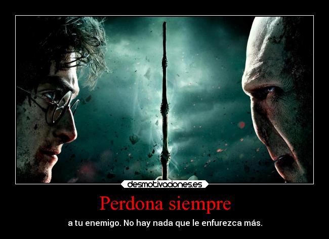 carteles perdonar enemigo vida harry voldemort zadigas enfurecer desmotivaciones