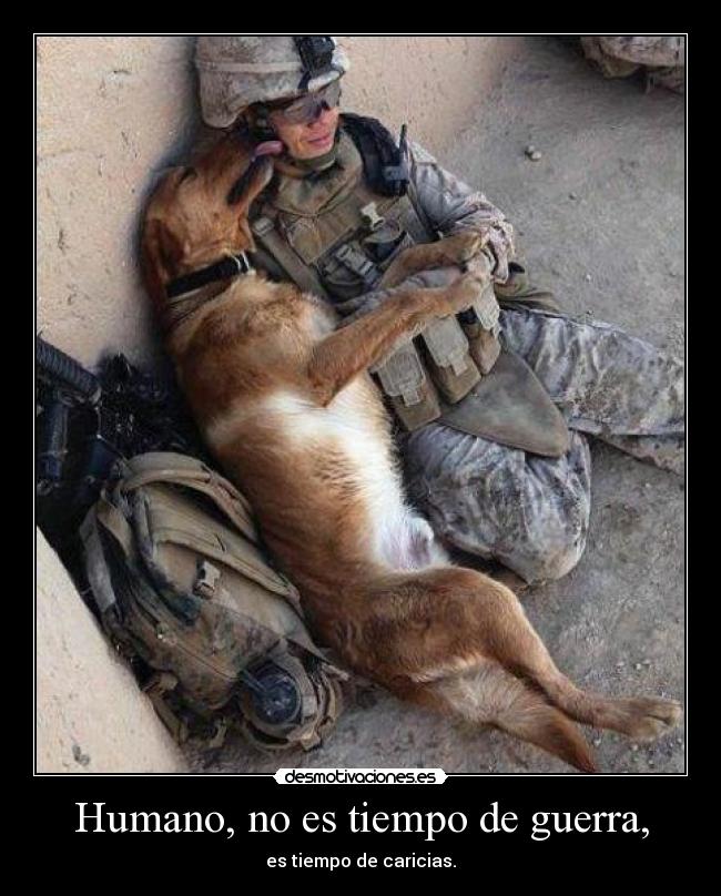 Humano, no es tiempo de guerra, -
