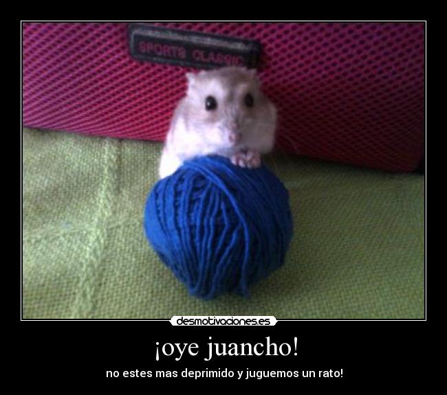 ¡oye juancho! - no estes mas deprimido y juguemos un rato!