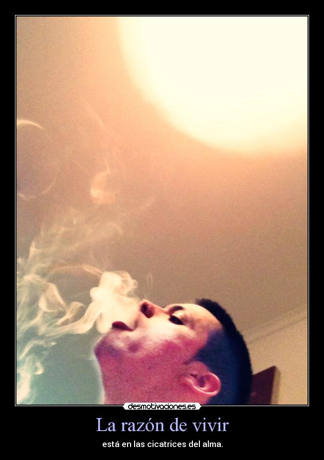 La razón de vivir - está en las cicatrices del alma.