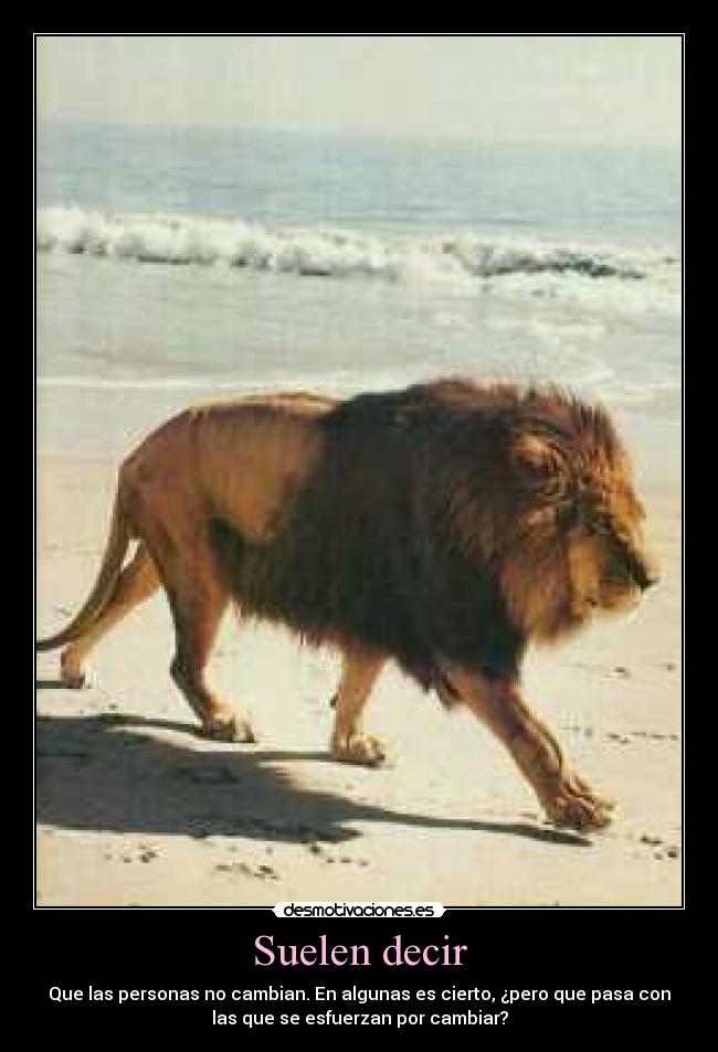 Suelen decir - Que las personas no cambian. En algunas es cierto, ¿pero que pasa con
las que se esfuerzan por cambiar?