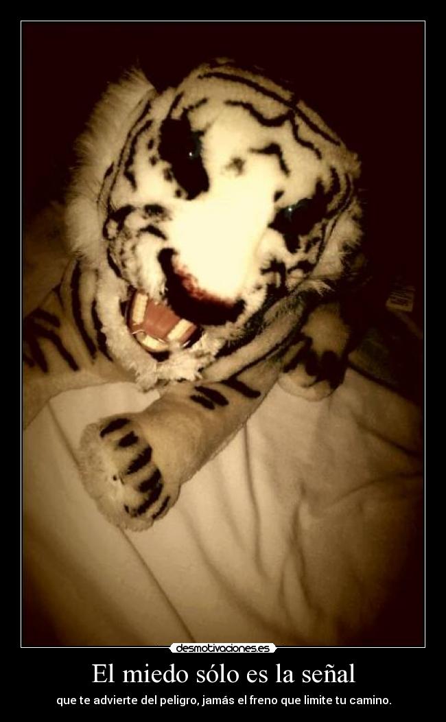 carteles miedo telyg ejercitodemar yahoramevuelvopokehipster desmotivaciones