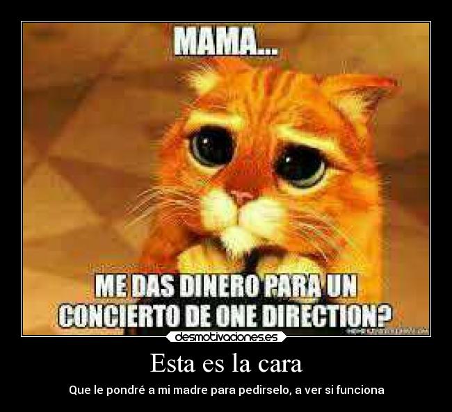 Esta es la cara - Que le pondré a mi madre para pedirselo, a ver si funciona