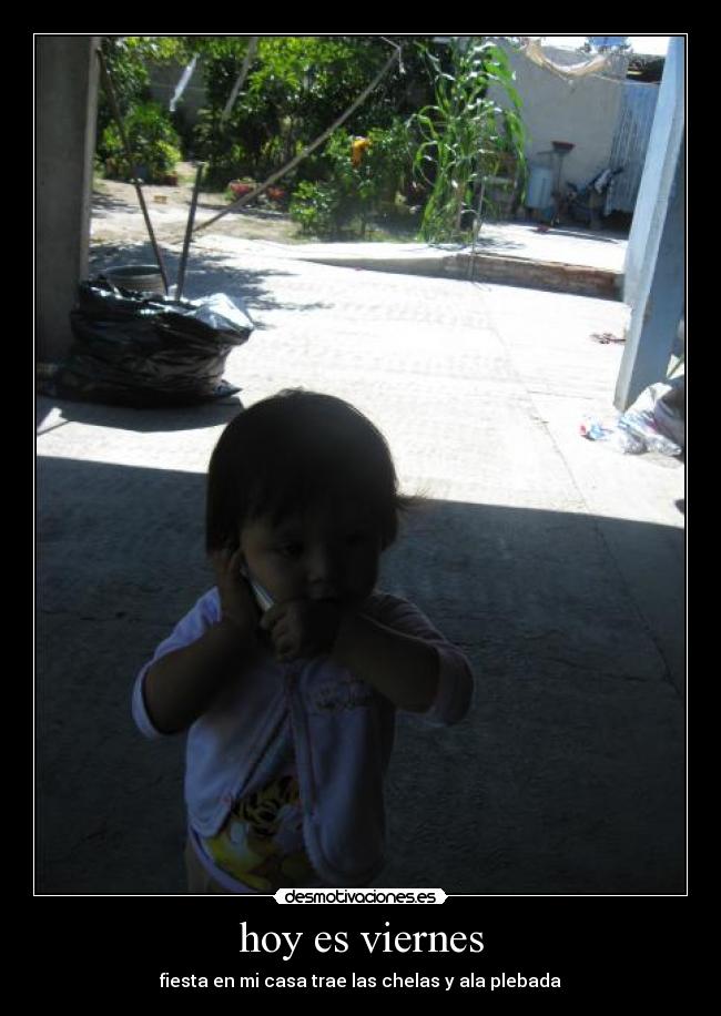 hoy es viernes - fiesta en mi casa trae las chelas y ala plebada