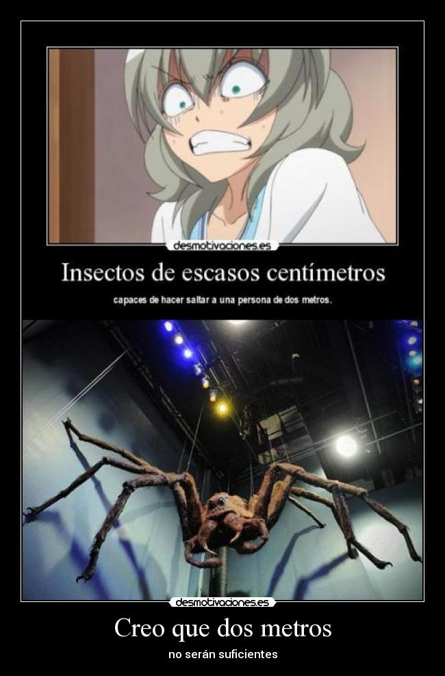 Creo que dos metros - no serán suficientes