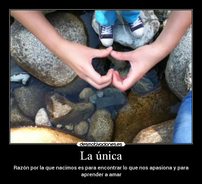La única - Razón por la que nacimos es para encontrar lo que nos apasiona y para
aprender a amar
