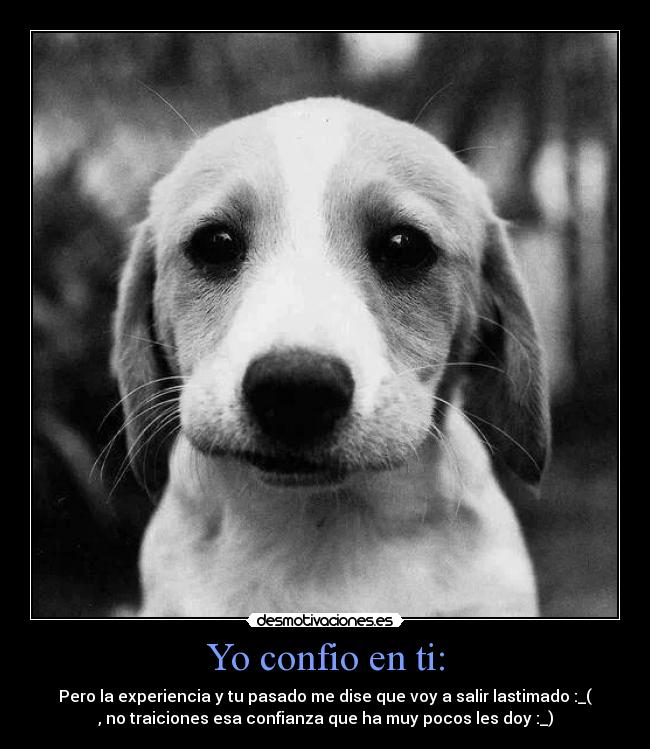 carteles gconfio desmotivaciones