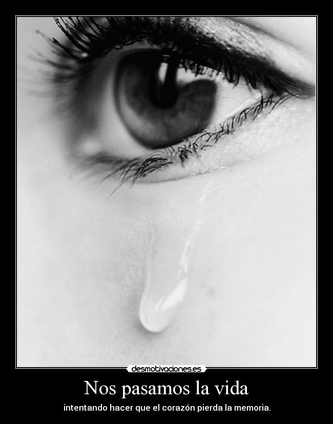 Nos pasamos la vida - 